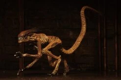 NECA Alien 3 Figuren - Accessory Creature Pack -Figurenwelt Geschaft 0046fe1c77a8a7e5309f55b9dced346b04cb13598c9af63b0134fa980ca21499