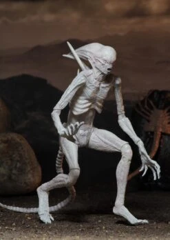 NECA Alien Covenant - Neomorph Alien Actionfigur 12 NECA Alien Covenant - Neomorph Alien Actionfigur -Figurenwelt Geschaft 2f1f838ce39c252a6bb8a25c74cdb0c17ce432ff8cb890f9c5f05565e7d171ac