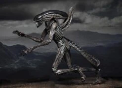 NECA Alien Covenant - Xenomorph Alien Actionfigur 15 NECA Alien Covenant - Xenomorph Alien Actionfigur -Figurenwelt Geschaft 3010d9ad3dbdbbfbfeb4b5cfbea0e6209e0c6f43693fb7286b3cc5c04a8ed201