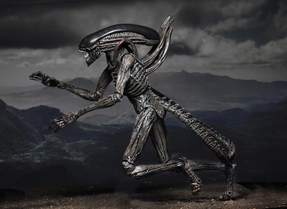 NECA Alien Covenant - Xenomorph Alien Actionfigur 9 NECA Alien Covenant - Xenomorph Alien Actionfigur - Image 7