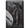 NECA Alien Covenant - Xenomorph Alien Actionfigur 2 NECA Alien Covenant - Xenomorph Alien Actionfigur -Figurenwelt Geschaft 3b8a9c60962f8a3cd603f9a807a781220cb246e7ad58f4e2798c348d1df4fbe6