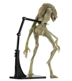 NECA Aliens - Deluxe Alien Resurrection Newborn Figur -Figurenwelt Geschaft 405b4bab202f295fdba211f834df8dc18a76235563f7f37b205107664c1ebded