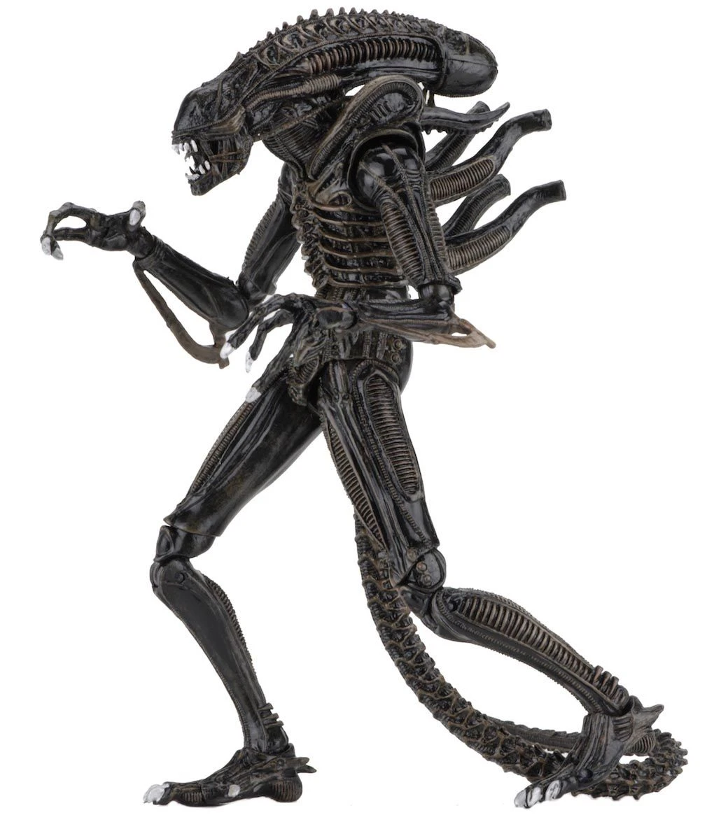 NECA Aliens (1986) - Brown Ultimate Alien Warrior Actionfigur 3 NECA Aliens (1986) - Brown Ultimate Alien Warrior Actionfigur