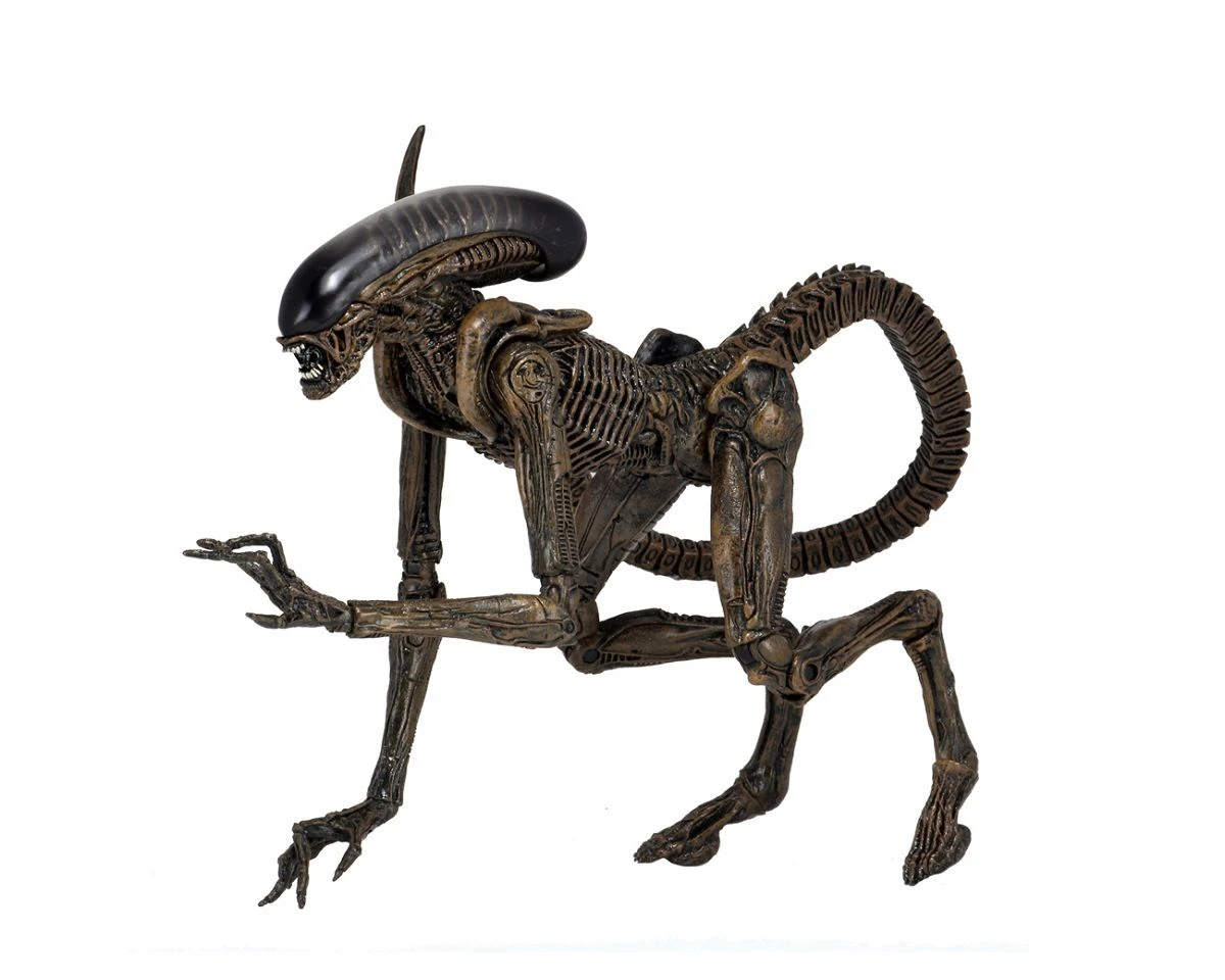NECA Alien 3 - Dog Alien Actionfigur 4 NECA Alien 3 - Dog Alien Actionfigur - Image 2