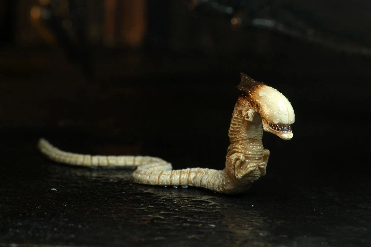 NECA Alien 3 - Dog Alien Actionfigur 6 NECA Alien 3 - Dog Alien Actionfigur - Image 4