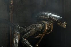 NECA Alien 3 - Dog Alien Actionfigur 18 NECA Alien 3 - Dog Alien Actionfigur -Figurenwelt Geschaft 515975 1