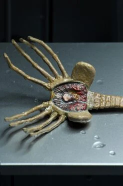 NECA Alien - Ultimate 40th Anniversary Big Chap Actionfigur 23 NECA Alien - Ultimate 40th Anniversary Big Chap Actionfigur -Figurenwelt Geschaft 516461 2