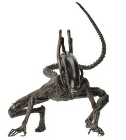 NECA Alien Covenant - Xenomorph Alien Actionfigur 12 NECA Alien Covenant - Xenomorph Alien Actionfigur -Figurenwelt Geschaft 5cc443c13cb5f7e568bac9c8f500d6a826f4dfe691be3fa82c9034cc350dbccd