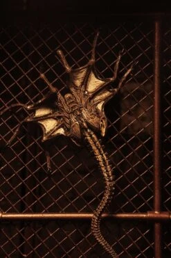 NECA Alien 3 Figuren - Accessory Creature Pack -Figurenwelt Geschaft 650519fd1d02afade92b6220134166a09d18ce077c8a3c76c37d959917e68d3f