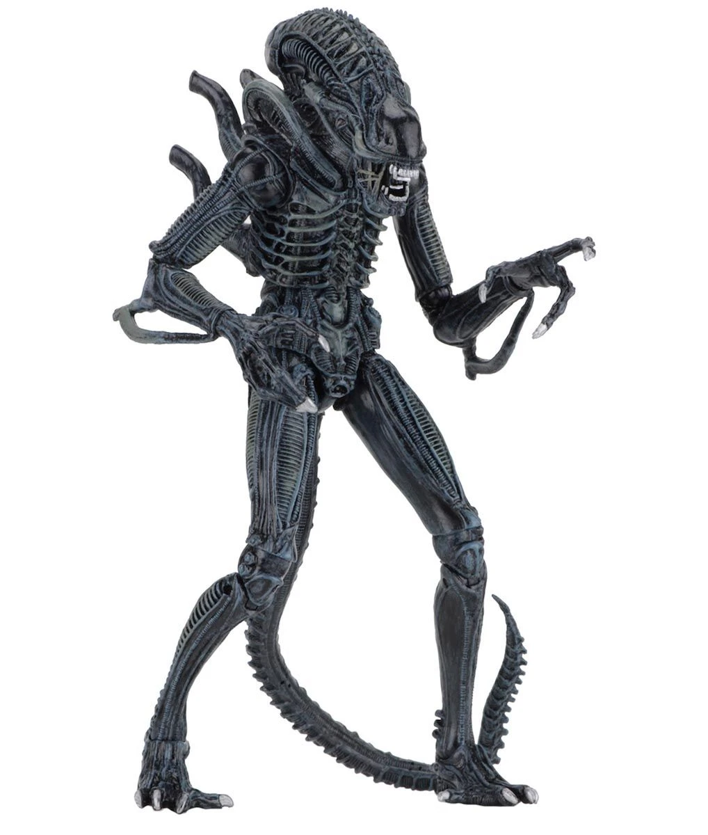 NECA Aliens (1986) - Blue Ultimate Alien Warrior Actionfigur 5 NECA Aliens (1986) - Blue Ultimate Alien Warrior Actionfigur - Image 3