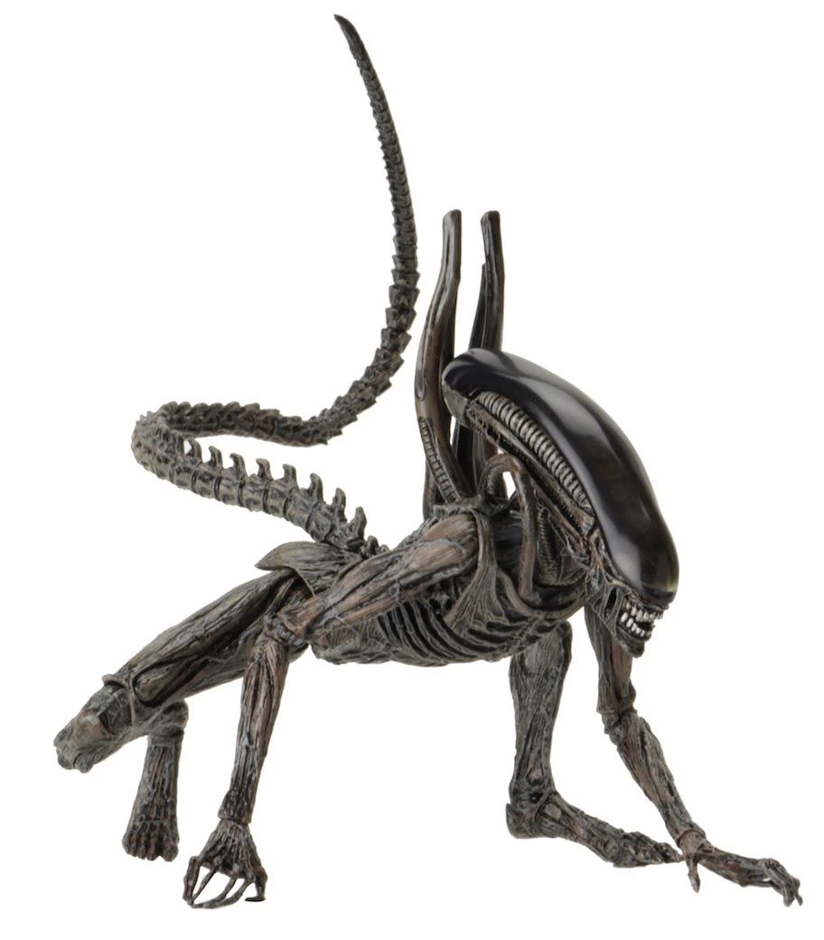 NECA Alien Covenant - Xenomorph Alien Actionfigur 7 NECA Alien Covenant - Xenomorph Alien Actionfigur - Image 5
