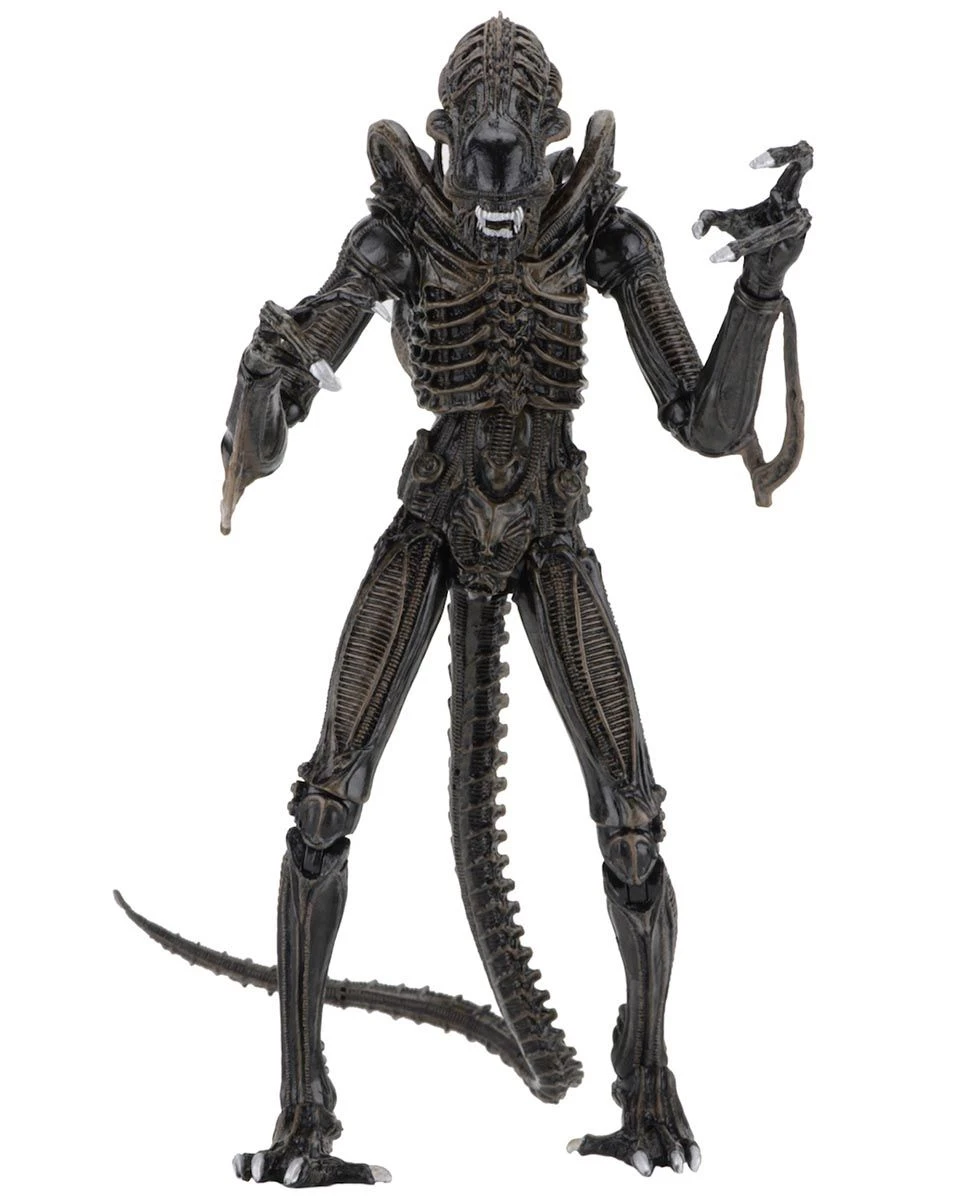 NECA Aliens (1986) - Brown Ultimate Alien Warrior Actionfigur 4 NECA Aliens (1986) - Brown Ultimate Alien Warrior Actionfigur - Image 2