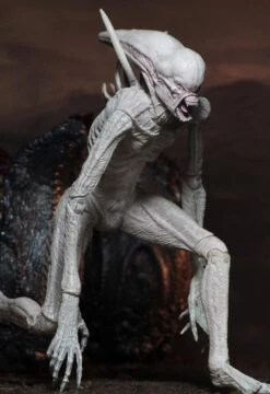 NECA Alien Covenant - Neomorph Alien Actionfigur 15 NECA Alien Covenant - Neomorph Alien Actionfigur -Figurenwelt Geschaft 82eba2737dcc9389678b3c66e5e7cd795af67d519d4e1c5f2dcf3958cf8afe11