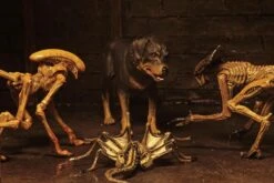 NECA Alien 3 Figuren - Accessory Creature Pack -Figurenwelt Geschaft a1f642c7b0b2c68b19a38fc1e26214233c46e02c91f776aac2cb4138d4a113e8