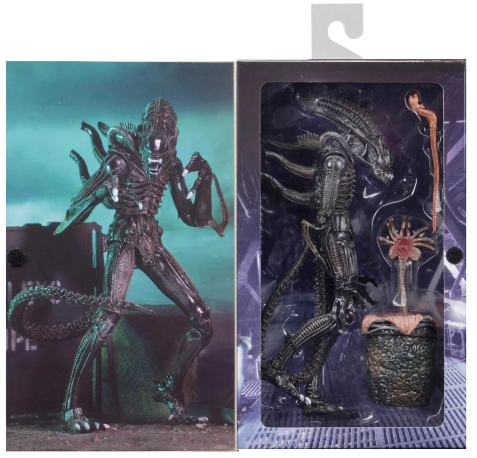 NECA Aliens (1986) - Brown Ultimate Alien Warrior Actionfigur 9 NECA Aliens (1986) - Brown Ultimate Alien Warrior Actionfigur - Image 7