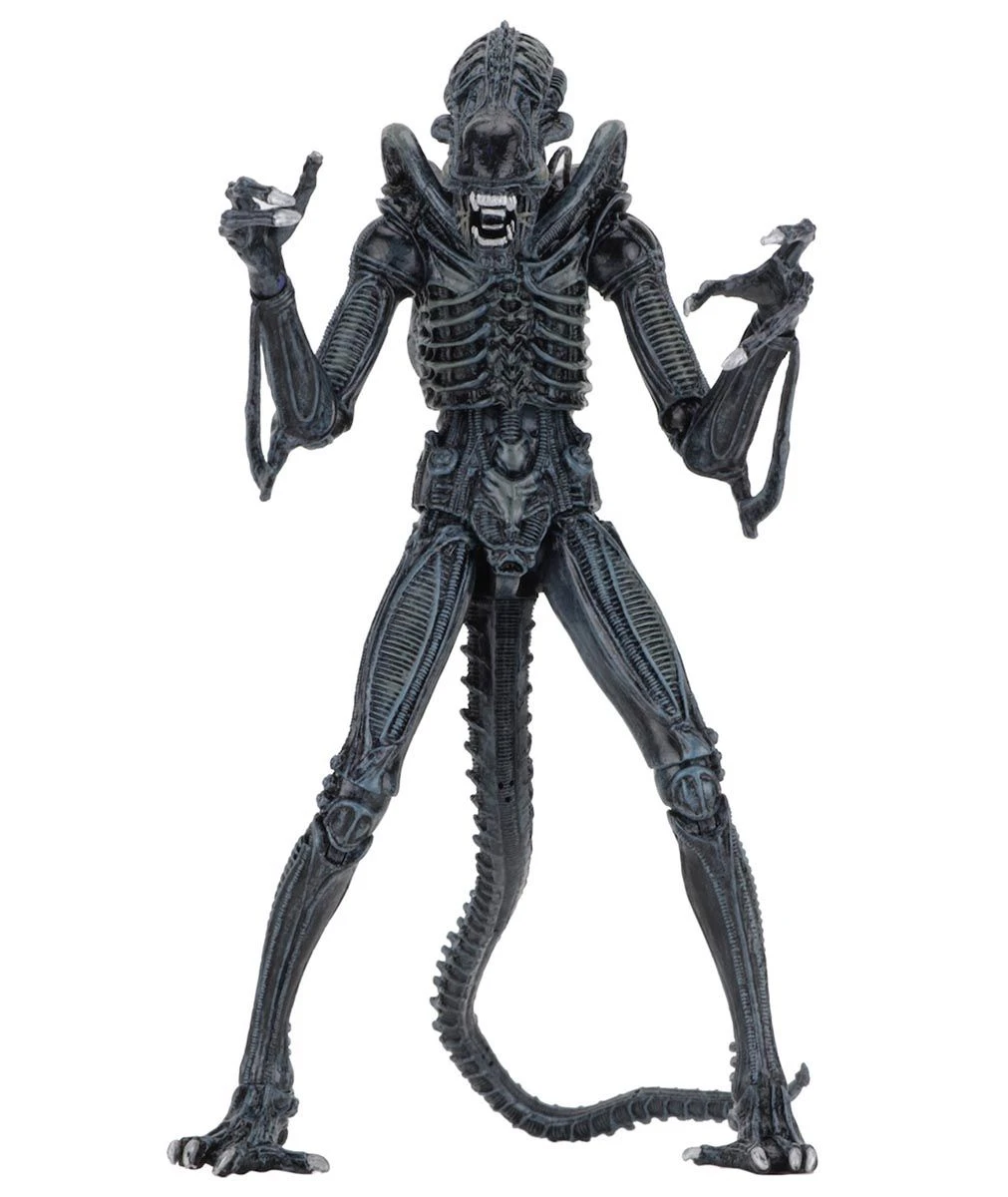 NECA Aliens (1986) - Blue Ultimate Alien Warrior Actionfigur 4 NECA Aliens (1986) - Blue Ultimate Alien Warrior Actionfigur - Image 2
