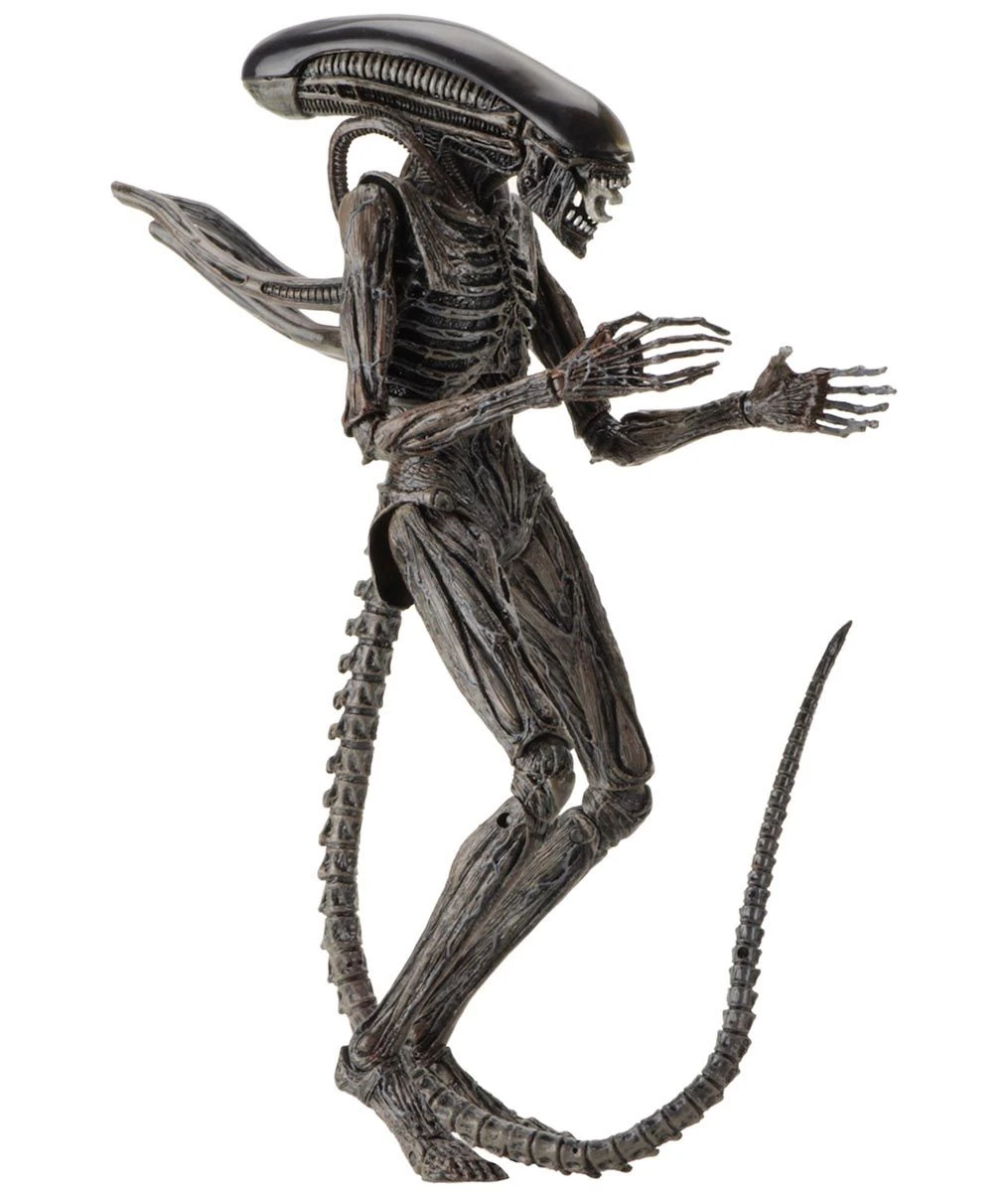 NECA Alien Covenant - Xenomorph Alien Actionfigur 8 NECA Alien Covenant - Xenomorph Alien Actionfigur - Image 6