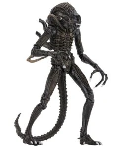 NECA Aliens (1986) - Brown Ultimate Alien Warrior Actionfigur 11 NECA Aliens (1986) - Brown Ultimate Alien Warrior Actionfigur -Figurenwelt Geschaft ea267c40c0c14556db5098b095d59fc06e297f96efc3e28f9f09b6a05a99caf2