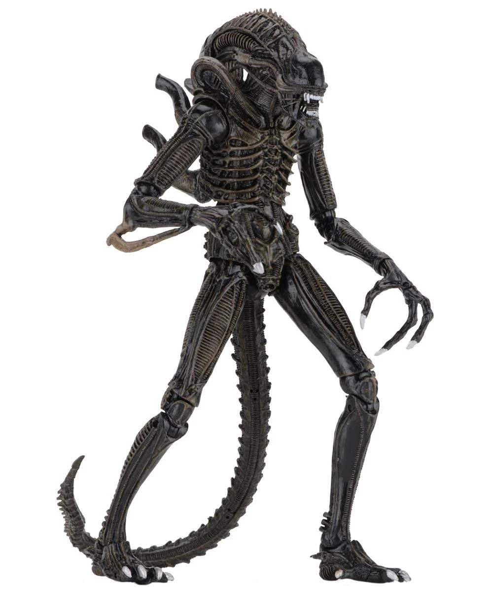 NECA Aliens (1986) - Brown Ultimate Alien Warrior Actionfigur 5 NECA Aliens (1986) - Brown Ultimate Alien Warrior Actionfigur - Image 3