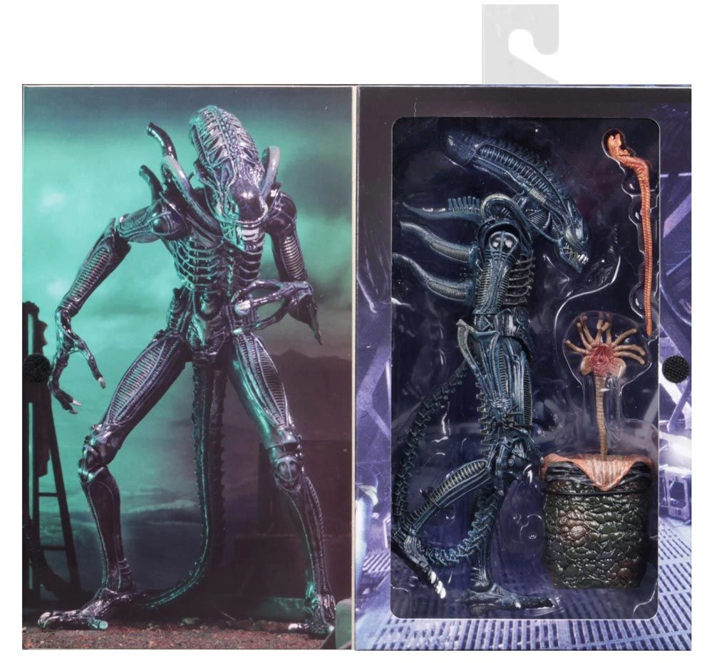 NECA Aliens (1986) - Blue Ultimate Alien Warrior Actionfigur 9 NECA Aliens (1986) - Blue Ultimate Alien Warrior Actionfigur - Image 7