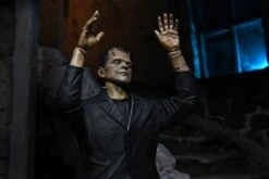 NECA Universal Monster Figur- Ultimate Frankensteins Monster (Color) 26 NECA Universal Monster Figur- Ultimate Frankensteins Monster (Color) -Figurenwelt Geschaft frank6 scaled 1