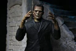 NECA Universal Monster Figur- Ultimate Frankensteins Monster (Color) 27 NECA Universal Monster Figur- Ultimate Frankensteins Monster (Color) -Figurenwelt Geschaft frank7 scaled 1